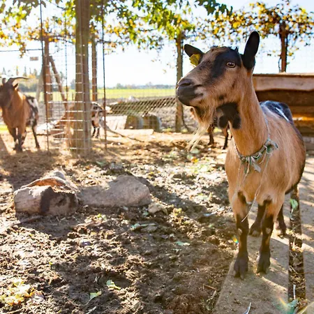 בית הארחה Saranto, Maison Du Charme - La Tua Oasi Nel Dell'emilia 3*
