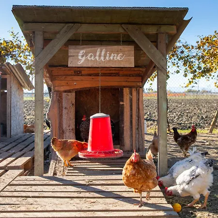 Saranto, Maison Du Charme - La Tua Oasi Nel Dell'emilia בית הארחה קארפי