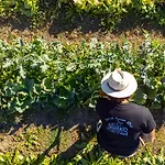 Pensionat Saranto, Maison Du Charme - La Tua Oasi Nel Dell'emilia 3*
