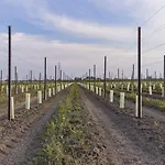 Saranto, Maison Du Charme - La Tua Oasi Nel Dell'emilia Pensionat
